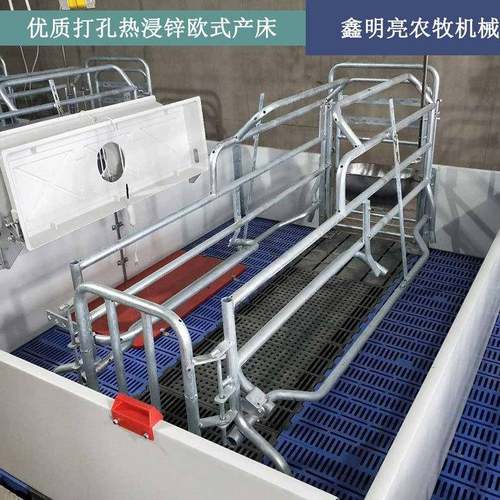 厂家直销 双体整体热浸锌高端欧式母猪产床 优质产床