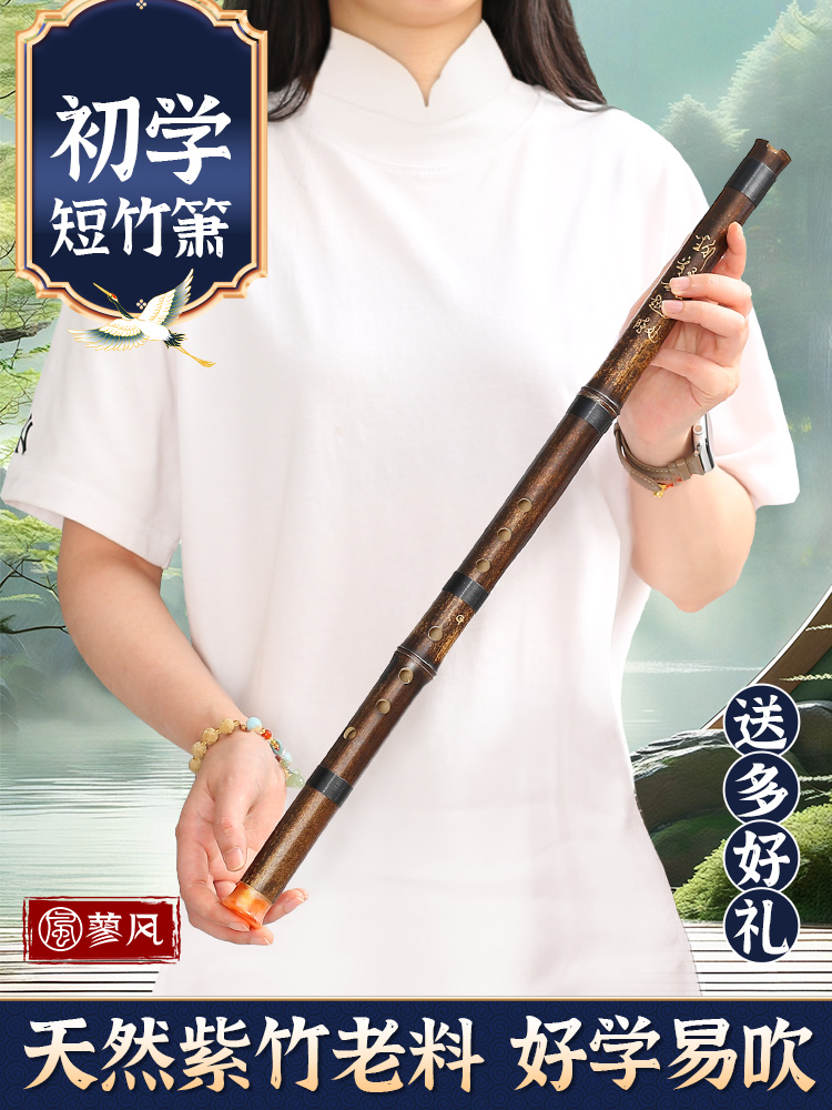 洞箫紫竹短箫初学入门G调F专业古风八8孔六6高档短萧笛潇民族乐器
