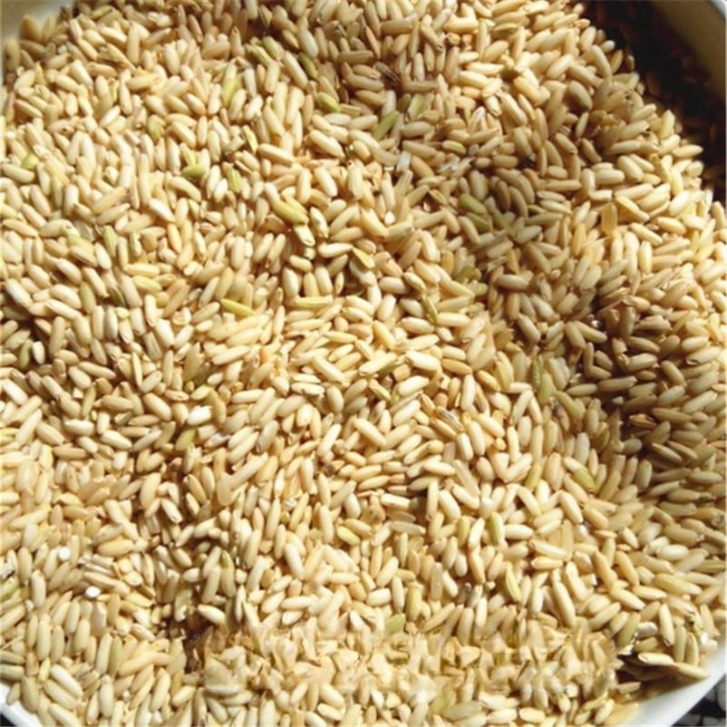 糙糯米农家自种江西客家老品种2024长粒新米5斤酿酒月子甜酒50斤,粮油调味/速食/干货/烘焙,糯米,淘宝优惠券,粉丝福利购,淘宝优惠卷