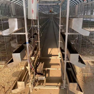 鸽子自动喂料机漏粉式定