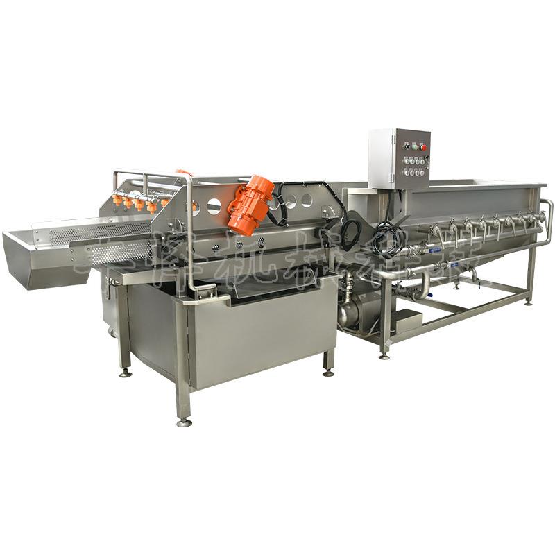 娃娃菜涡流清洗机白菜去虫卵去农残涡流清洗机臭氧杀菌清洗设备