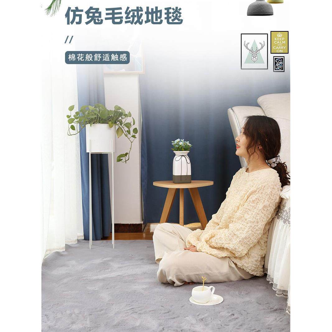 白色仿兔毛地毯卧室可睡可坐少女满铺大面积床边客厅毛绒飘窗地垫