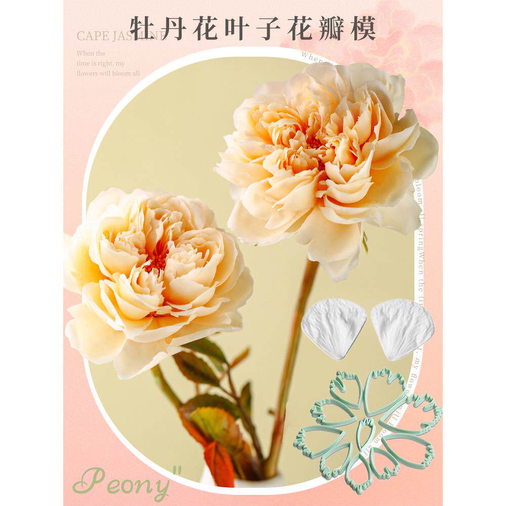 牡丹花切压模 仿真花卉纹路叶子脉络翻糖模具 英式糖花不锈钢切模