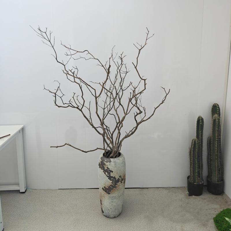天然干树枝枯木造型装饰摆件客厅禅意干枝原木花瓶干花分杈真树枝