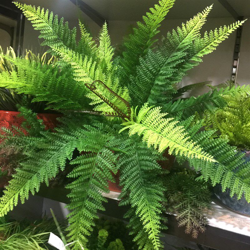 仿真波斯草 蕨草假花 蕨类植物草绿化墙店面盆栽植物