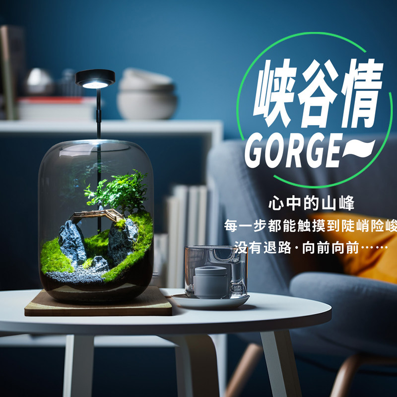 丘辰生命之树青苔藓微景观生态瓶室内绿植盆景观