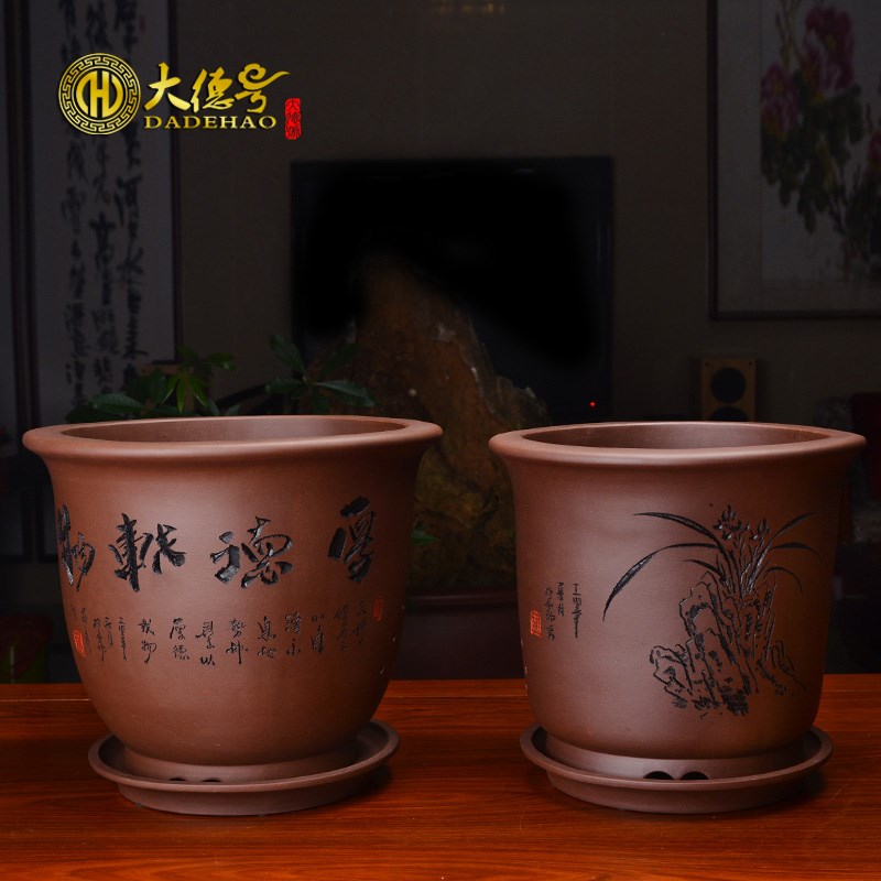 君兰花盆紫砂发财树红豆杉绿植盆景盆简约室内花盆