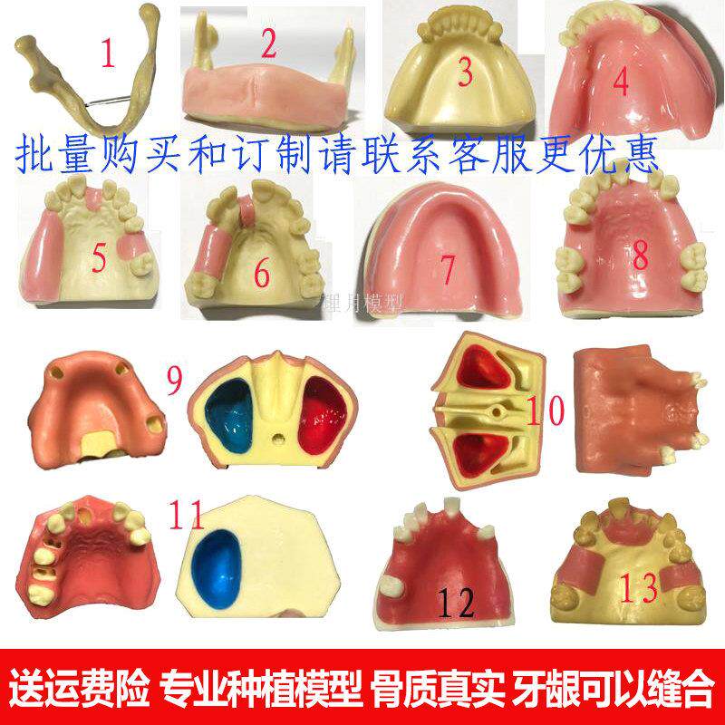 口腔备牙牙科种植材料实操练习上颌窦提升下颌骨软牙龈材料牙模型