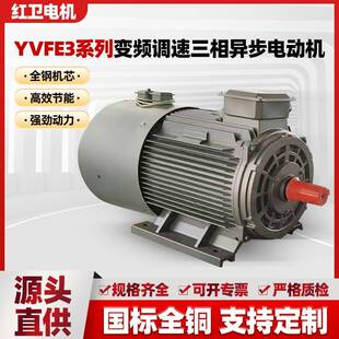 YV3系列变频调速三相异步电动机