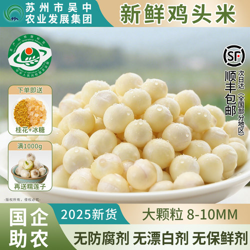 国企助农正宗苏州芡实鸡头米新鲜
