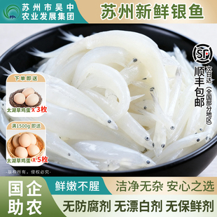 国企助农【苏州银鱼】令鲜顺食孕妇宝宝辅食新鲜太湖特产顺丰包邮