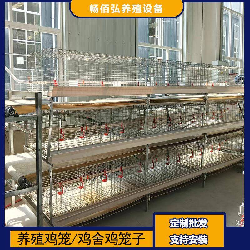 元宝肉鸡笼成年肉鸡养殖全自动喂料清粪养殖厂用养鸡笼可外贸