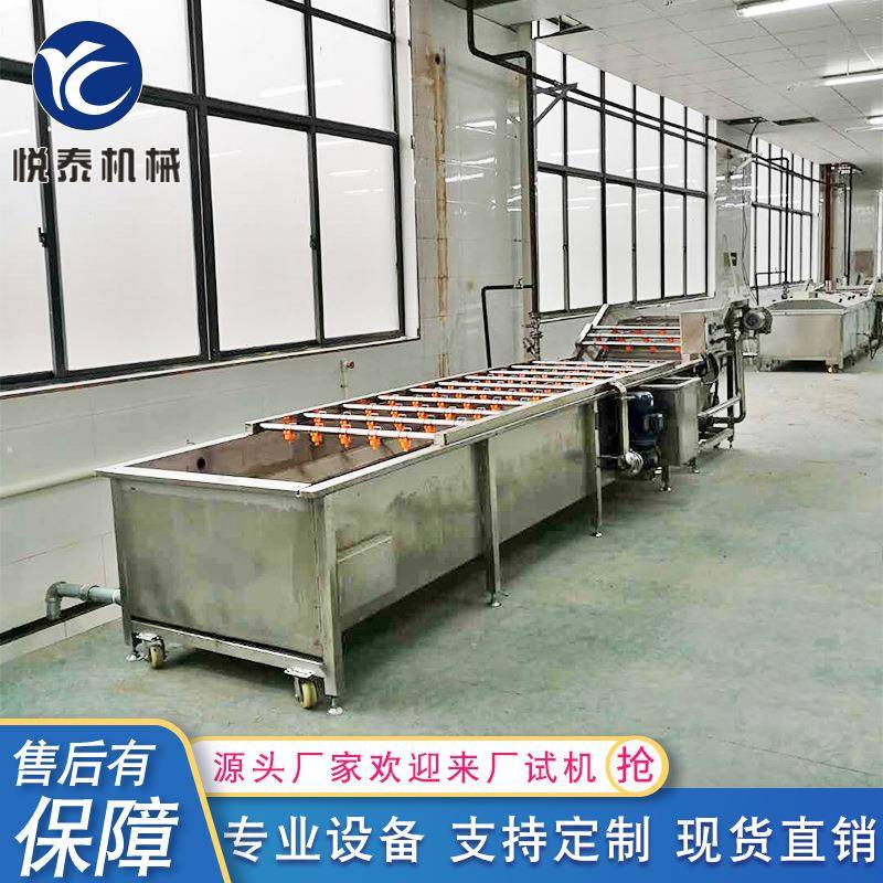 蘑菇木耳气泡清洗设备大白菜小油菜菠菜叶类蔬菜清洗机器