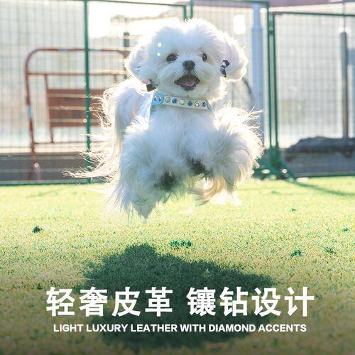 MENG狗狗牵引绳胸背带小型犬马尔济斯约克夏比熊项圈宠物遛狗绳子