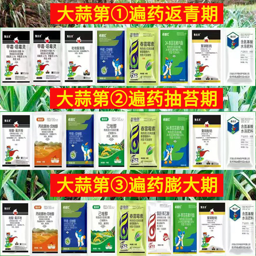 大蒜套餐大蒜三遍药生根干尖黄叶专用药杀菌防病营养立枯病大斑病