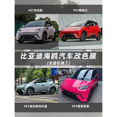 比亚迪海鸥汽车改色膜花悦粉甜菜根紫胭脂红液态金属索玛托蓝全车