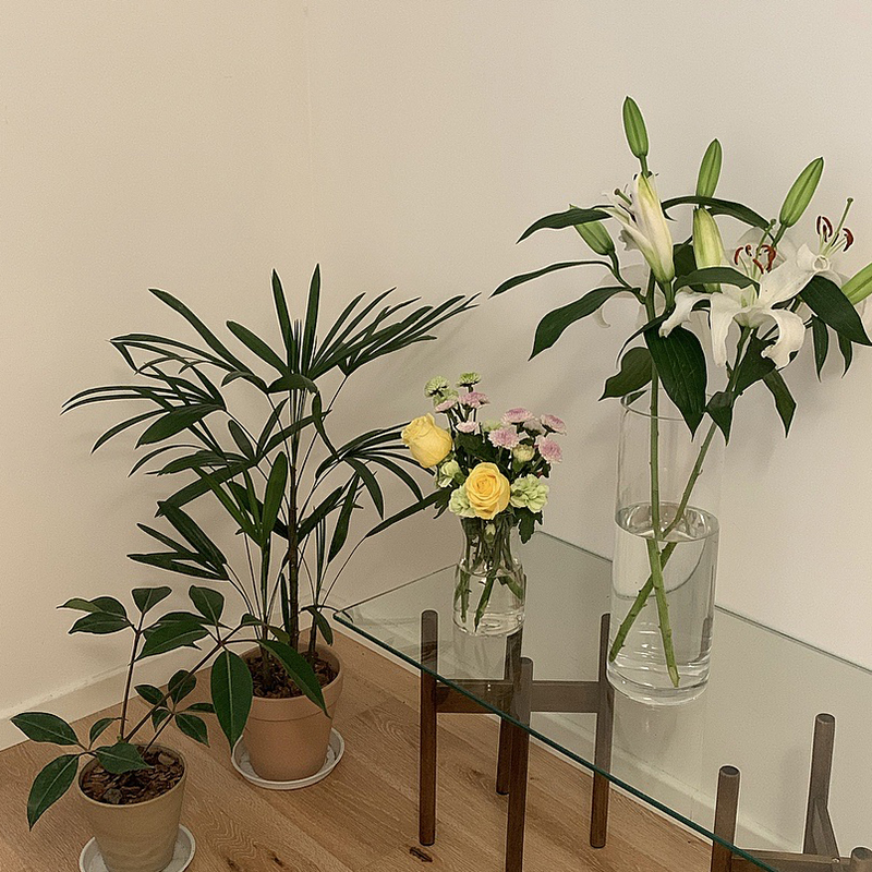 绿箩花架北欧木制桌面阳台窗台飘窗省空间现代Q简约迷你榉木小花