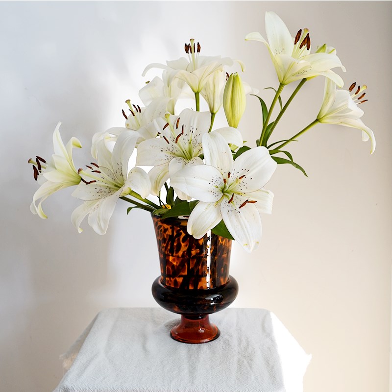 OOOOH简约中古风灯高脚玻璃花瓶法式复古桌面插花水培摆件