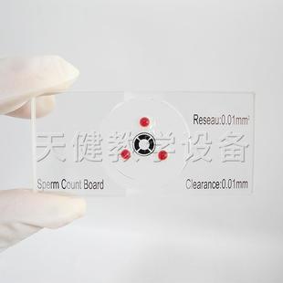 红宝石精子计数板有网格精子计数板医院分析化验精子数目使用仪器