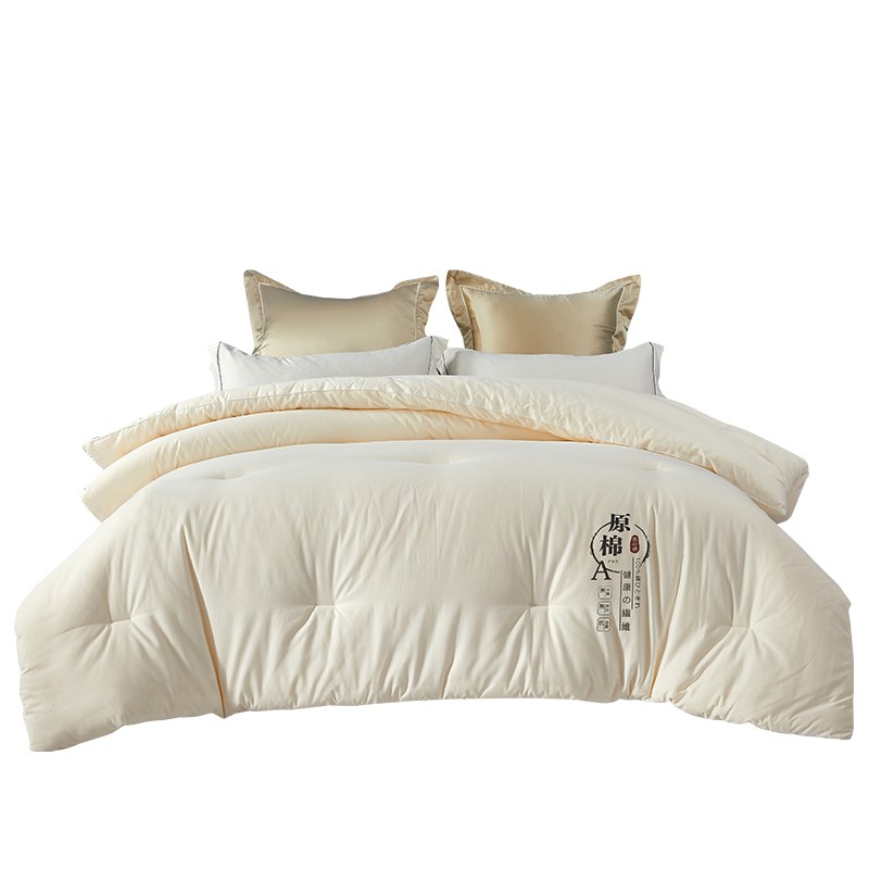 春夏季薄被d子四斤4斤春秋被三斤3斤5斤6斤五斤六斤被芯200x230cm