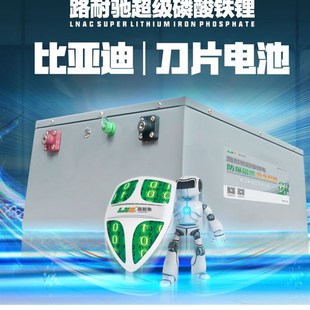 比亞迪刀片電芯 60V30AH 電動車鋰電配充電器 超級磷q酸鐵鋰