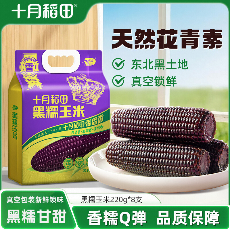 十月稻田黑糯玉米东北苞谷8根