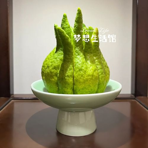 佛手柑花瓶器皿托盘中式复古摆放摆盘观赏佛手托盆水培养花容器