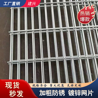 长孔镀锌铁丝网片鸽舍围栏热镀锌钢丝网养殖加粗加密地网防护网格