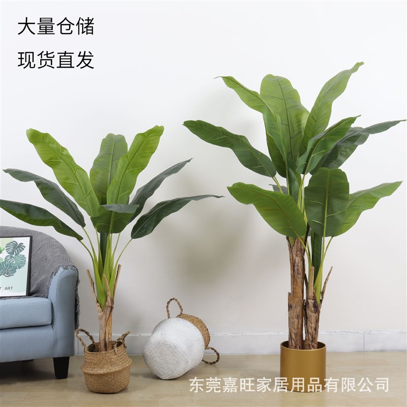 芭蕉树仿真植物大型绿植假盆栽室内装饰落地盆景客厅仿真 香蕉树