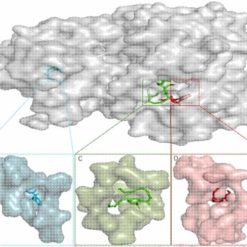 分子动力学模拟DFT MS poster studio 分子对接带教程文件出图