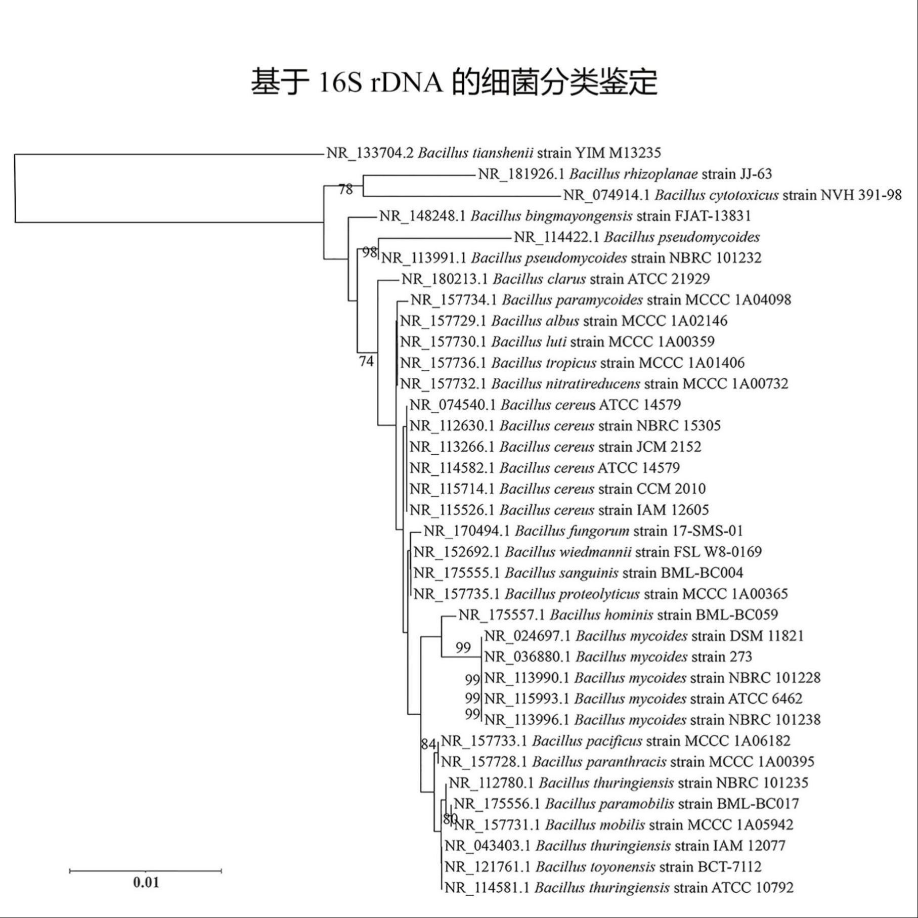 生信分析服务多组学联合分析TCGA GEO公共数据库挖掘孟德尔随机化