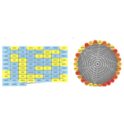 蛋白互作活性位点预测动力学模拟能量分析