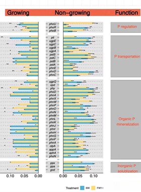 生信分析Go/Kegg、GSEA、PCA、差异基因、WGCNA、机器学习
