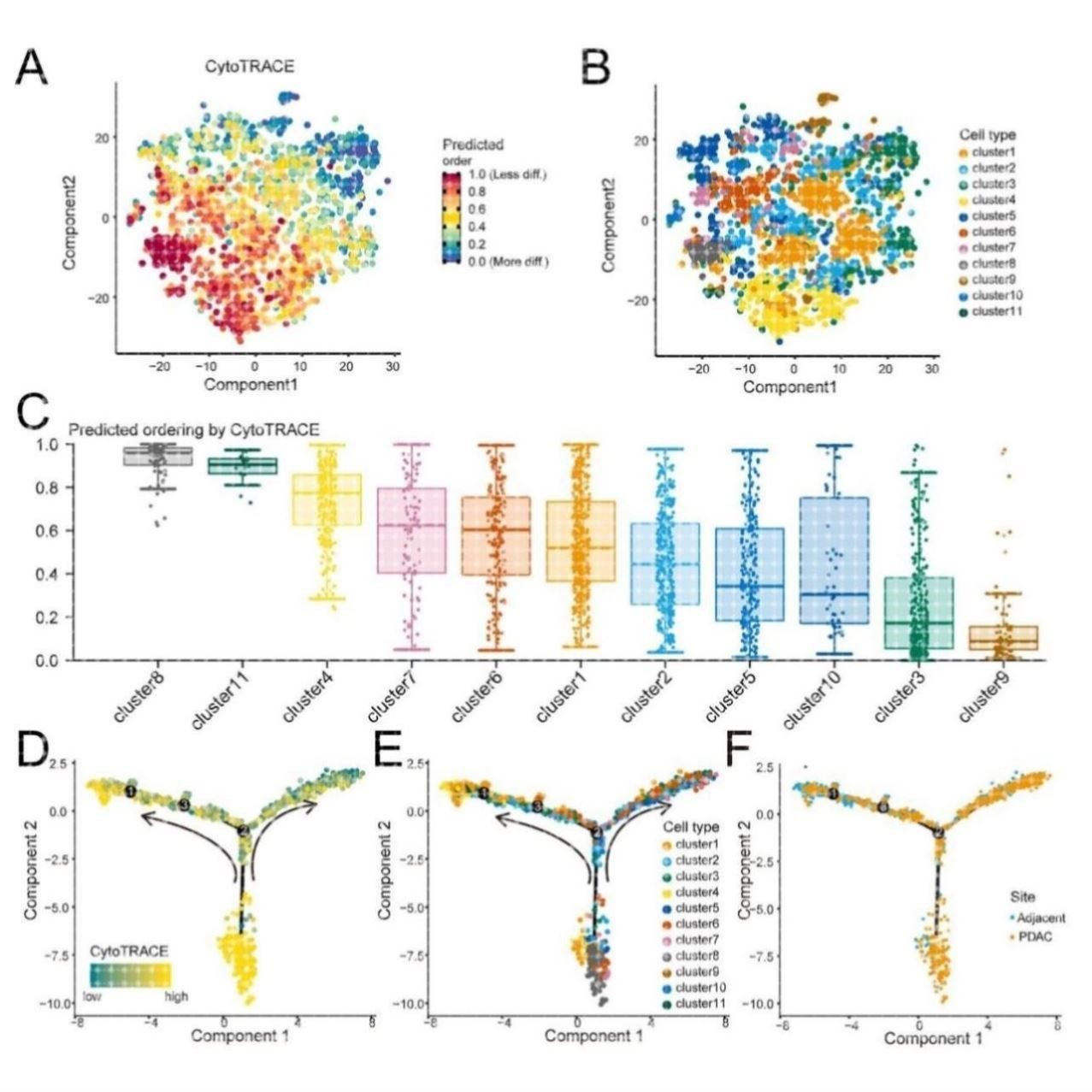 单细胞分析空间转录组学,商务/设计服务,其它设计服务,淘宝优惠券,粉丝福利购,淘宝优惠卷