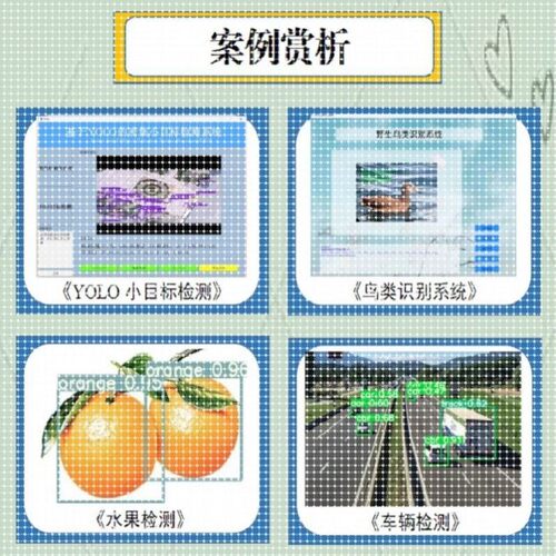 Python代做深度学习机器学习yolo目标检测opencv图像处理知识图谱