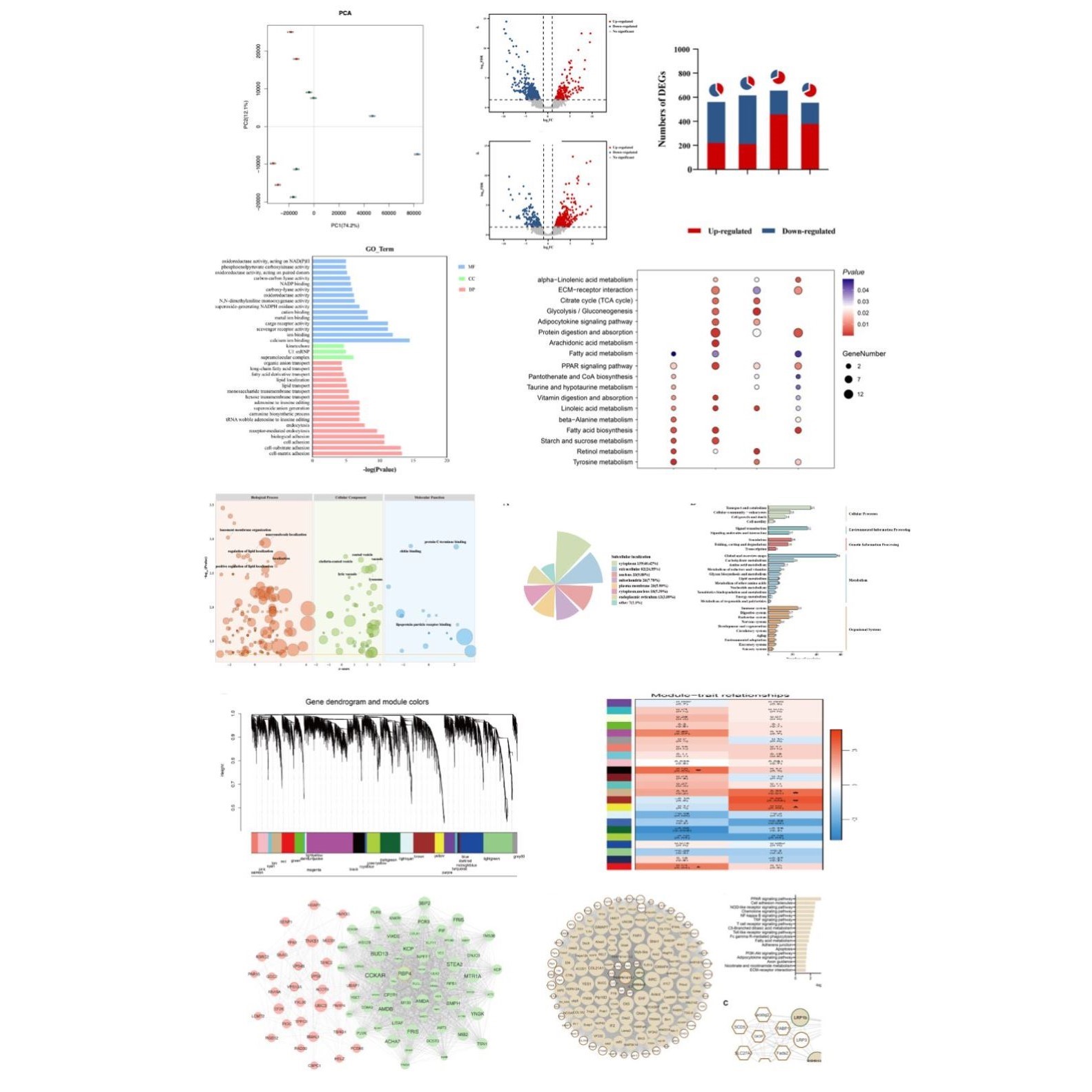 【真核转录组分析】RNA-seq/差异分析/GO/KEGG富集/WGCNA网路作图