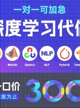 python代编程深度学习机器图像视觉接单代跑lstm代码调试编写爬虫