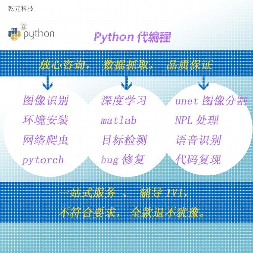 Python深度学习遥感医学图像识别目标检测语义分割代编程调试爬虫