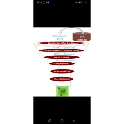 虚拟筛选 化合物库（zinc，FDA ） 对接方法：autodock vina
