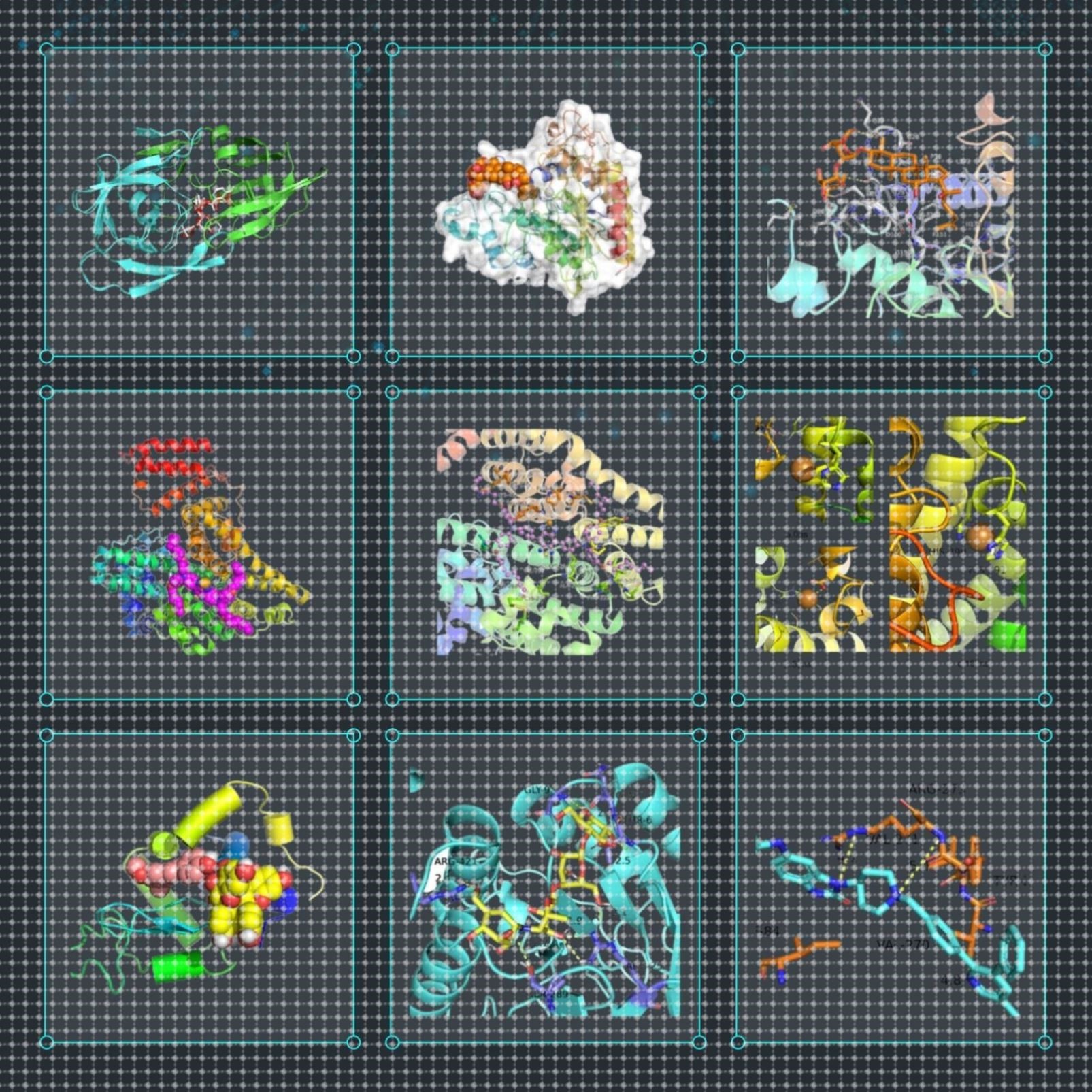 代算 分子对接模拟 Gromacs lammps amber 分子动力学模拟 MD MC