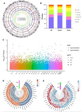 Nature折线图R语言代码Rstudio绘图SCI科研生信医学数据分析作图