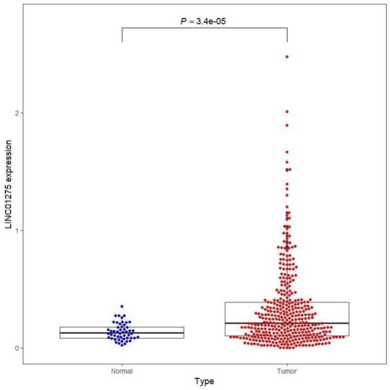 生信分析服务TCGA GEO数据挖掘转录组测序单基因多组学联合分析