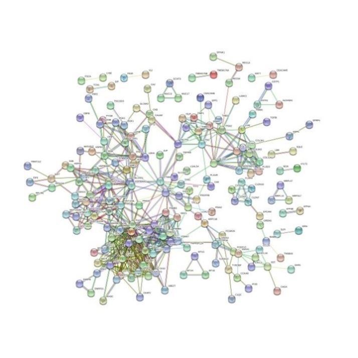 GEO数据库 生物信息学 多芯片联合分析 GEO2R 蛋白互作网络
