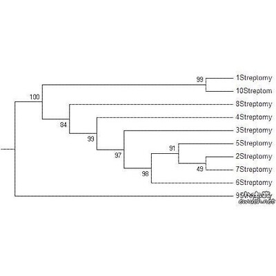 进化树/基因家族分析/作树/系统发育树/发生树/phylogenetic tree