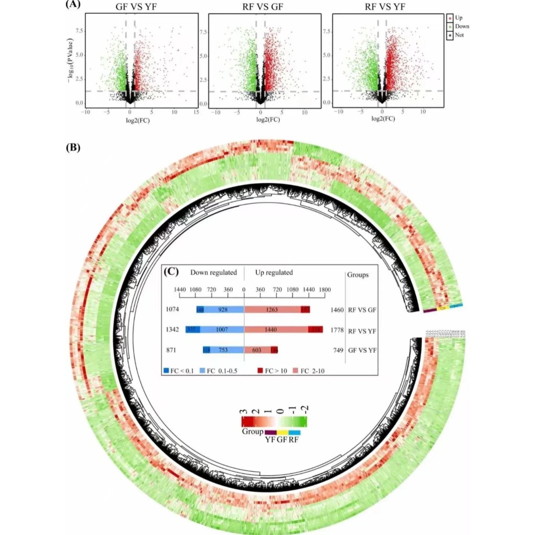 生信数据分析 TCGA/CEO 数据库多组学挖掘