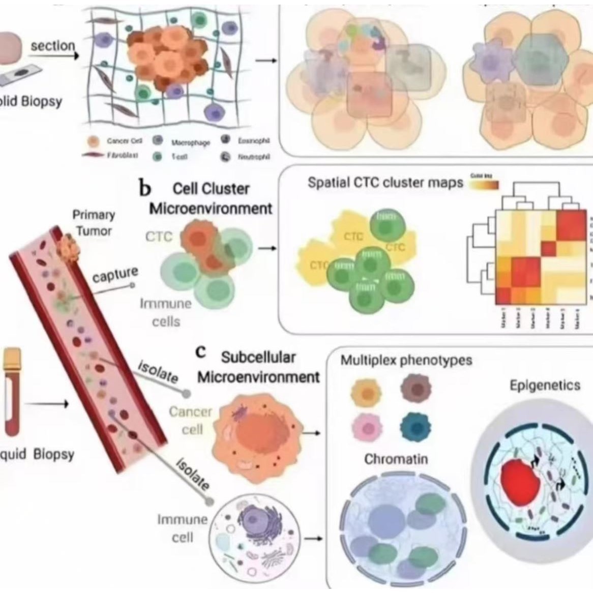 网路理学分子对接中网路理学教程自学入门零基础课程G107