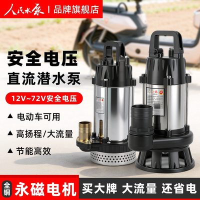 人民水泵家用48V小型全铜电瓶车
