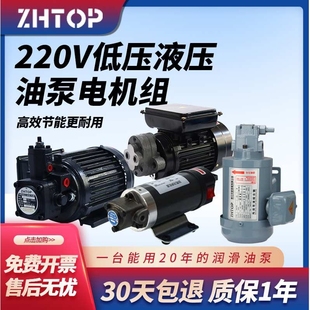 电动抽油泵高粘度自吸齿轮泵220V变量叶片柴油机油食用油液压油泵