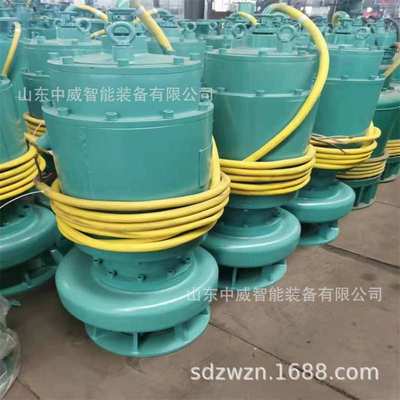 煤矿用防爆潜水排污泵 BQS300-30-45/N矿用隔爆型潜水排沙电泵