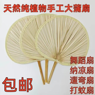 老式手工大蒲扇子夏天舞蹈扇蒲草芭蕉扇竹中国风葵扇儿童古风凉扇